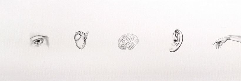 Illustration menschlicher Organe, Auge, Herz, Gehirn, Ohr, Hand